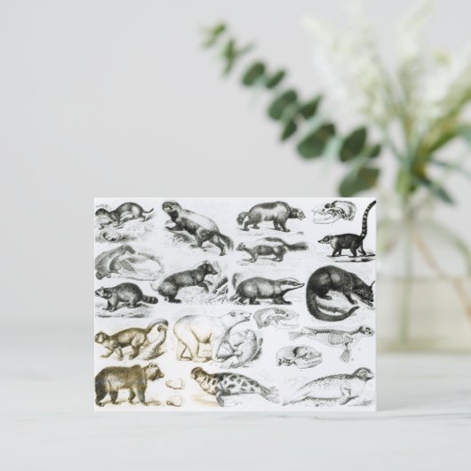 Fleischfresser Postkarte (Stehend Vorderseite)