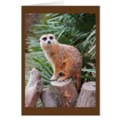 Fleischkarte (Vorne)