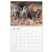 Fleischtiere des KMP 2024 Kalender (Mär 2027)