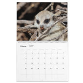 Fleischtiere des KMP 2024 Kalender (Feb 2027)