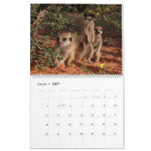 Fleischtiere des KMP 2024 Kalender (Jan 2027)