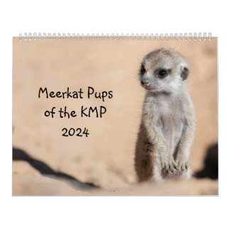 Fleischtiere des KMP 2024 Kalender