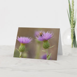 Fleißige Biene auf Lila Distel Foto Gratulation Karte