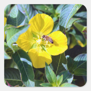 Fleißige Biene Quadratischer Aufkleber
