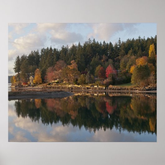 Fletcher Bay Poster (Vorne)