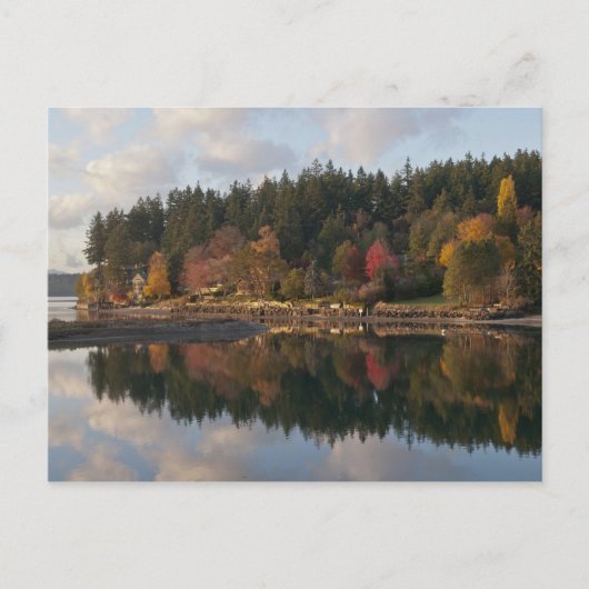 Fletcher Bay Postkarte (Vorderseite)