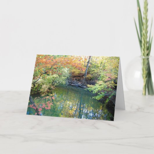 Fletcher Park Autumn Water Scene Greeting Card Karte (Vorderseite)
