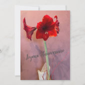 Fleur Amaryllis (Vorderseite)