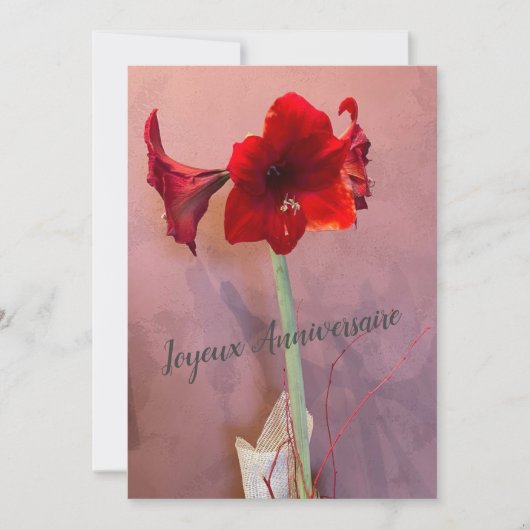 Fleur Amaryllis (Vorderseite)