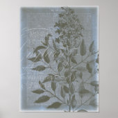 Fleur de Bleu I Poster (Vorne)