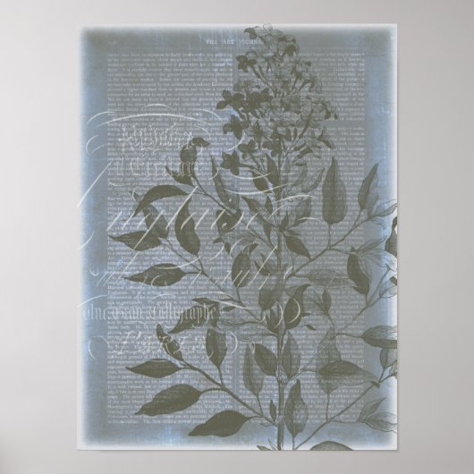 Fleur de Bleu I Poster (Vorne)