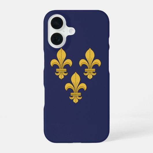Fleur-de-lis iPhone 16 Hülle (Rückseite)