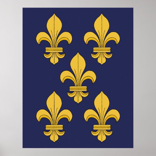 Fleur-de-lis Poster (Vorne)