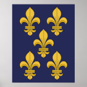 Fleur-de-lis Poster (Vorne)