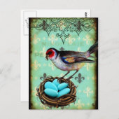 Fleur Di Lis Bird Nest Shabby Chic Postkarte (Vorne/Hinten)