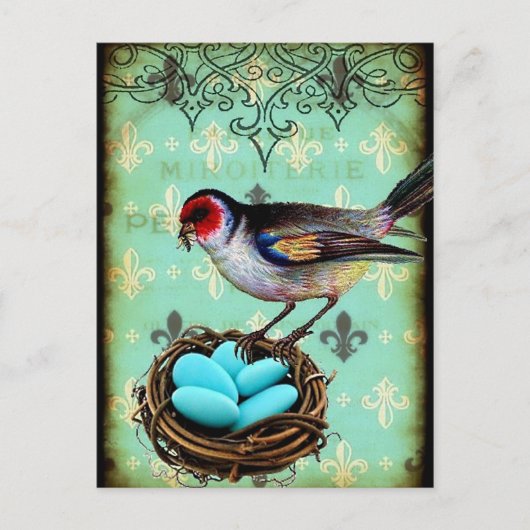 Fleur Di Lis Bird Nest Shabby Chic Postkarte (Vorderseite)