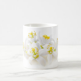 Fleur d'oranger kaffeetasse