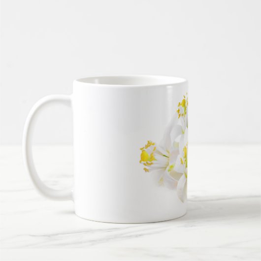 Fleur d'oranger kaffeetasse (Links)