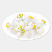 Fleur d'oranger ovaler aufkleber (Vorderseite)
