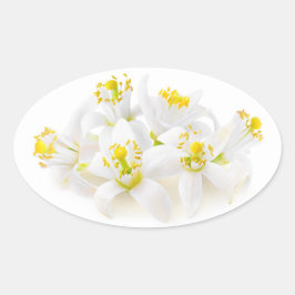 Fleur d'oranger ovaler aufkleber
