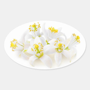 Fleur d'oranger ovaler aufkleber