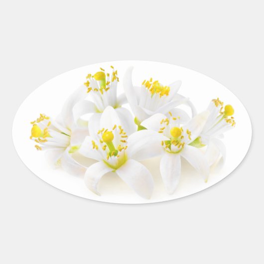Fleur d'oranger ovaler aufkleber (Vorderseite)