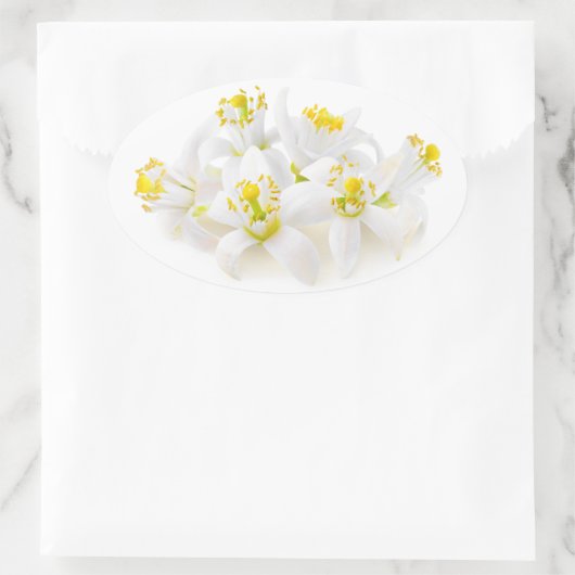 Fleur d'oranger ovaler aufkleber (Tasche)