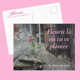 Fleuris là où tu es plantée Pink Floral Postkarte