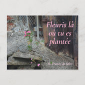 Fleuris là où tu es plantée Pink Floral Postkarte (Vorderseite)