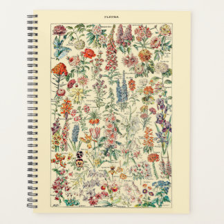 Fleurs Botanical Wildblume Diagramm Planer