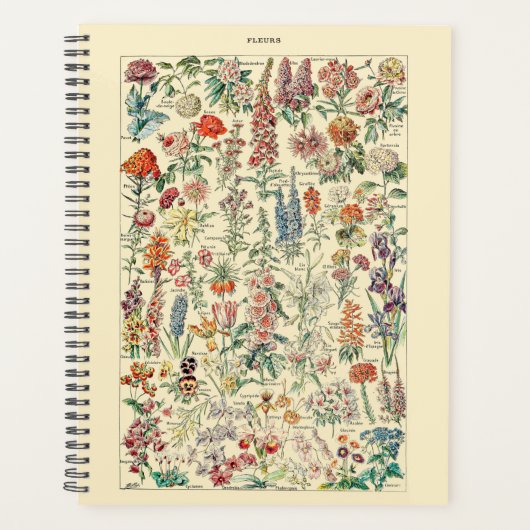Fleurs Botanical Wildblume Diagramm Planer (Vorderseite)