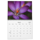 Fleurs de la Muse Kalender (Mär 2027)