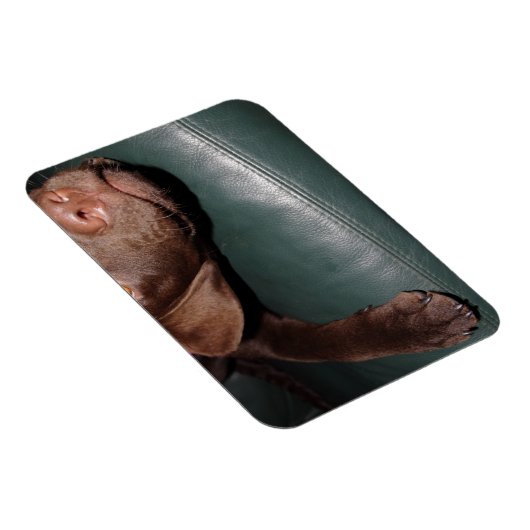 Flexi Magnet Labrador Lorenzo (Rechte Seite)