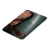 Flexi Magnet Labrador Lorenzo (Linke Seite)
