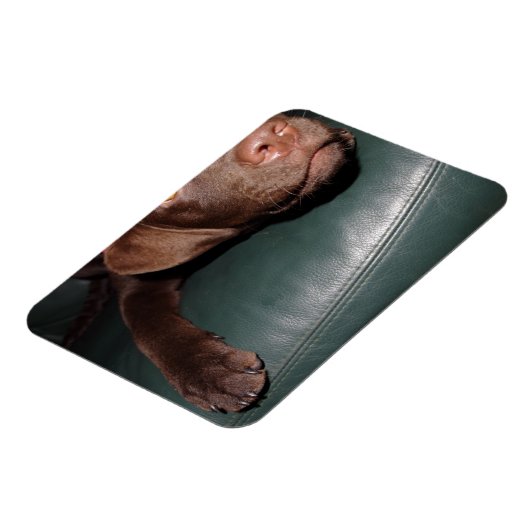 Flexi Magnet Labrador Lorenzo (Linke Seite)