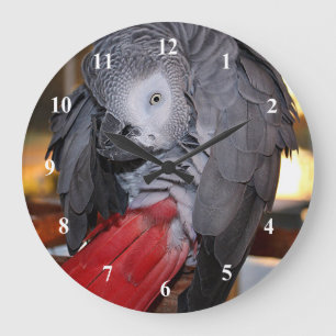Flexible Congo African Grey Parrot with Red Tail Große Wanduhr