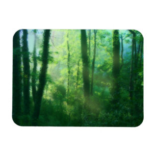 Flexible Fertilität Magnet