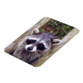 Flexible Foto Magnet mit Raccoon (Linke Seite)