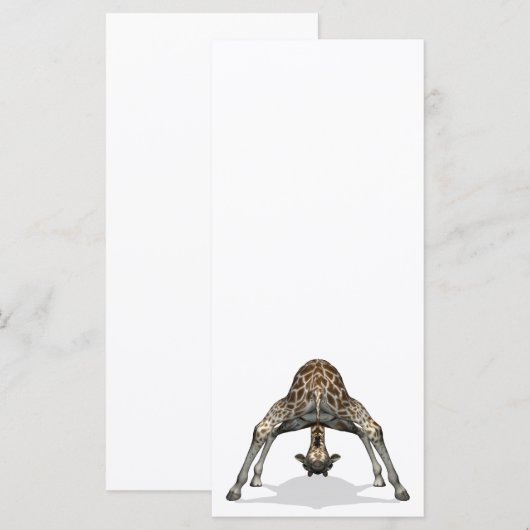 Flexible Giraffe (Vorne/Hinten)