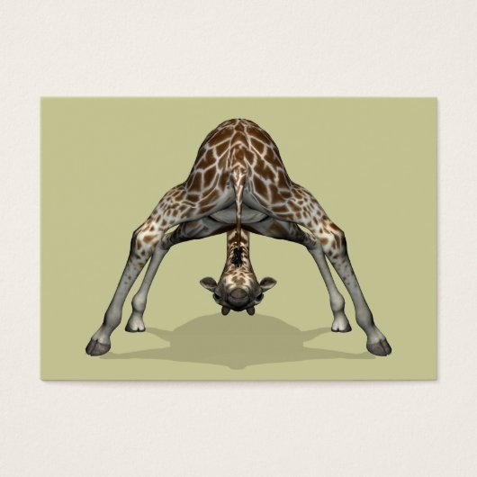 Flexible Giraffe (Vorderseite)