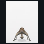 Flexible Giraffe<br><div class="desc">Giraffen sind ohnehin sehr niedlich,  aber diese absurde Position macht es noch lustiger</div>