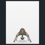 Flexible Giraffe<br><div class="desc">Giraffen sind ohnehin sehr niedlich,  aber diese absurde Position macht es noch lustiger</div>