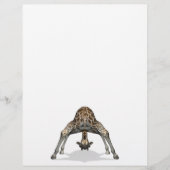 Flexible Giraffe (Vorderseite)