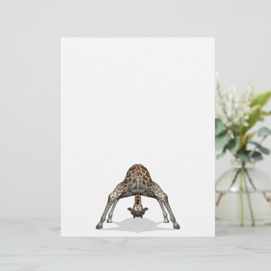 Flexible Giraffe (Stehend Vorderseite)