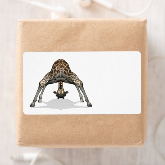 Flexible Giraffe (Insitu)