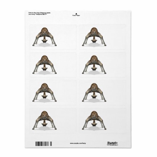 Flexible Giraffe (Vorne)