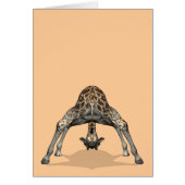 Flexible Giraffe (Vorne)