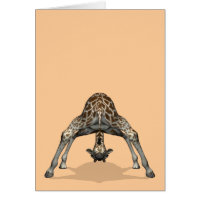 Flexible Giraffe