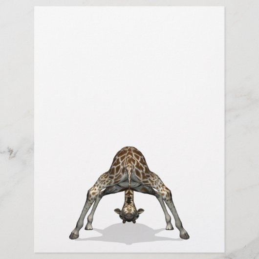 Flexible Giraffe Flyer (Vorne)