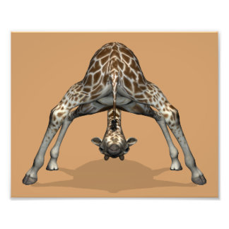 Flexible Giraffe Fotodruck